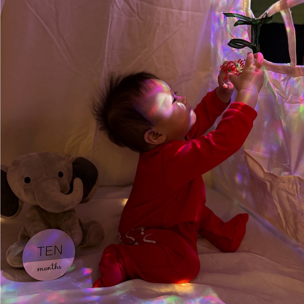 Milestone Wooden Discs Set - Picture 3 of 3